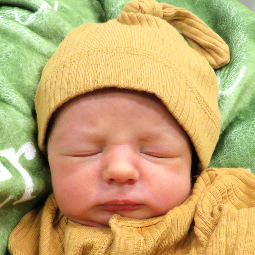 Online Nursery Page 2 of 25 Regional Medical Center