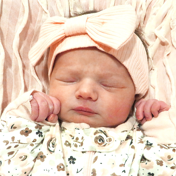 Wrenley Rose 091523_website