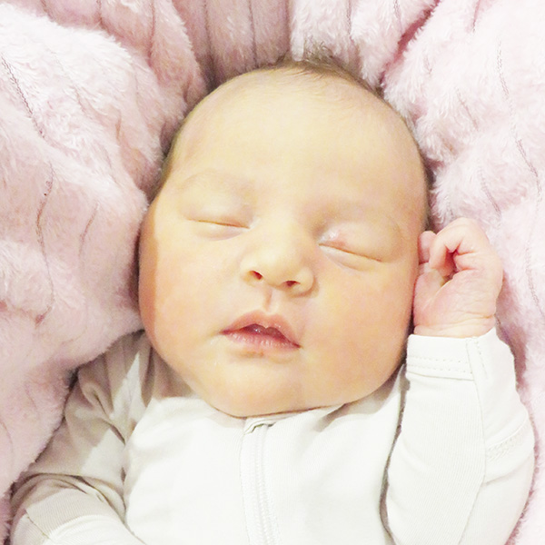 Jade Jeffrey 102523 Website