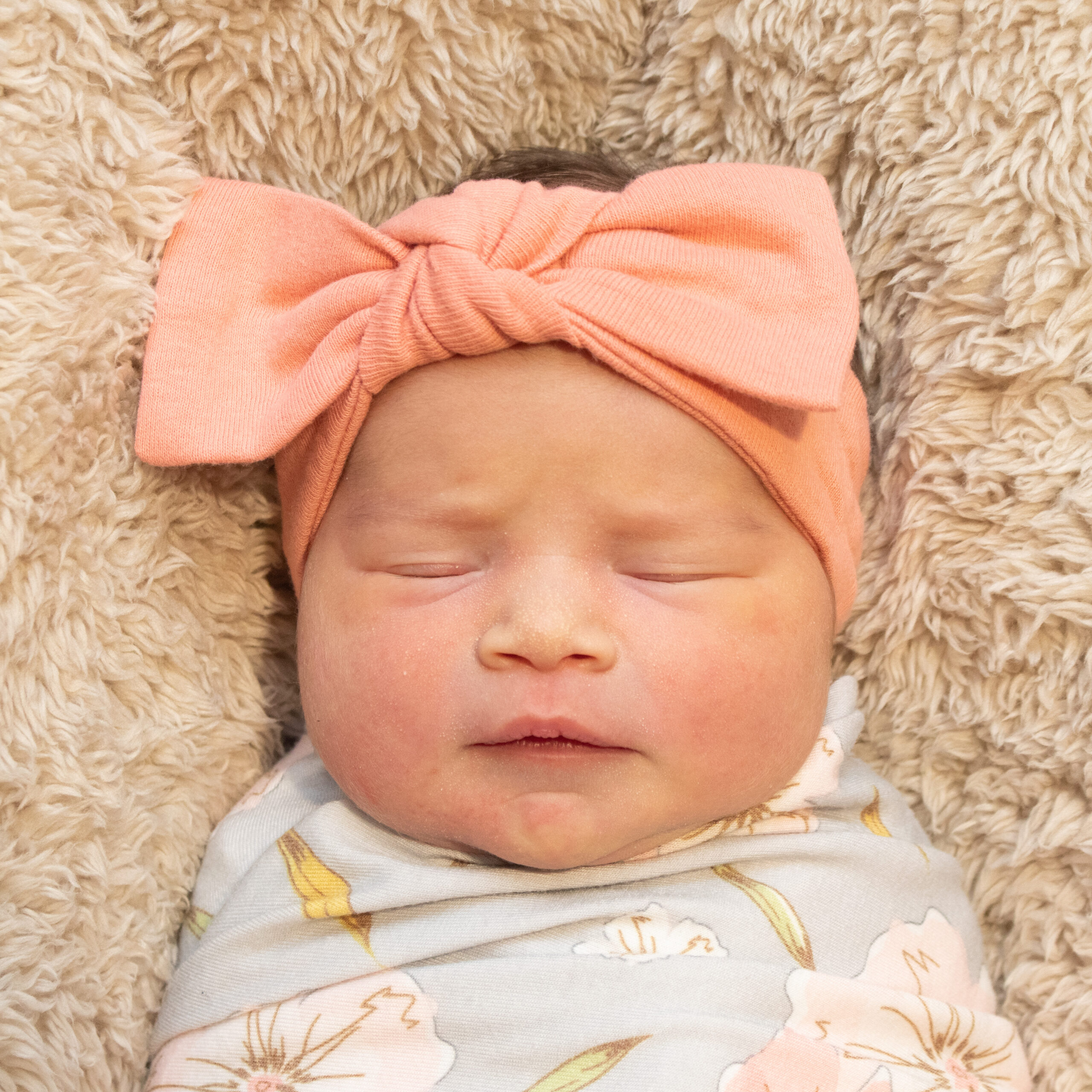 Eleanor Dianne 011824 Website