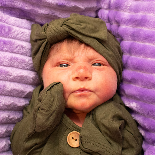 Etta Dawn 011024 Website
