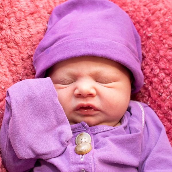 Evelyn Ann 011024 Website