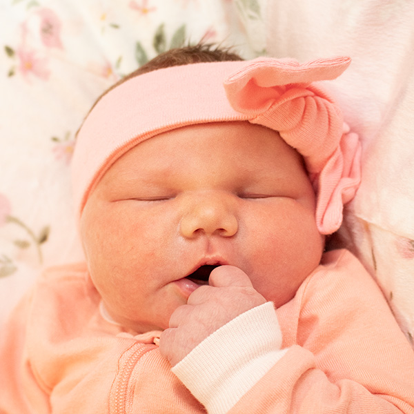 Vivian Rose 012024 Website