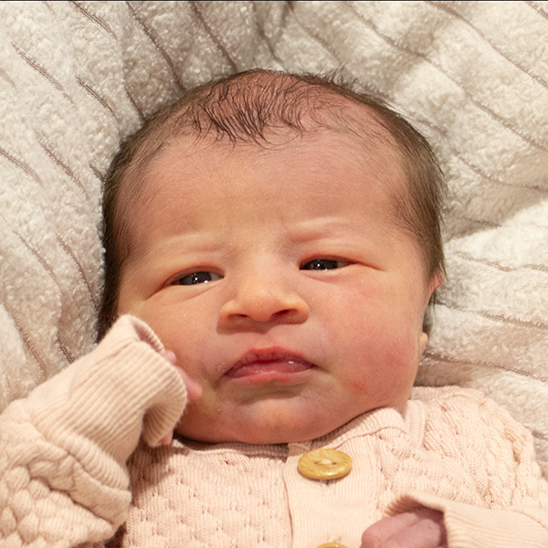 Sadie Ruth 031925 website