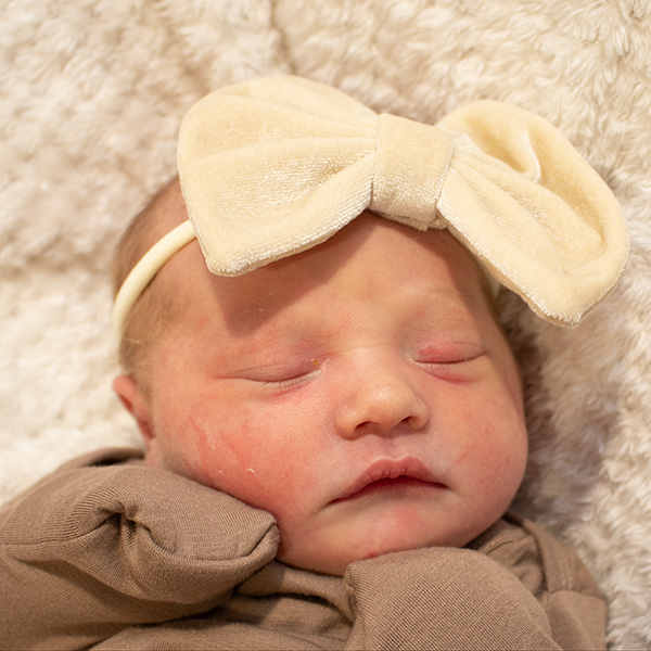 Brielle Nicole 050625 website