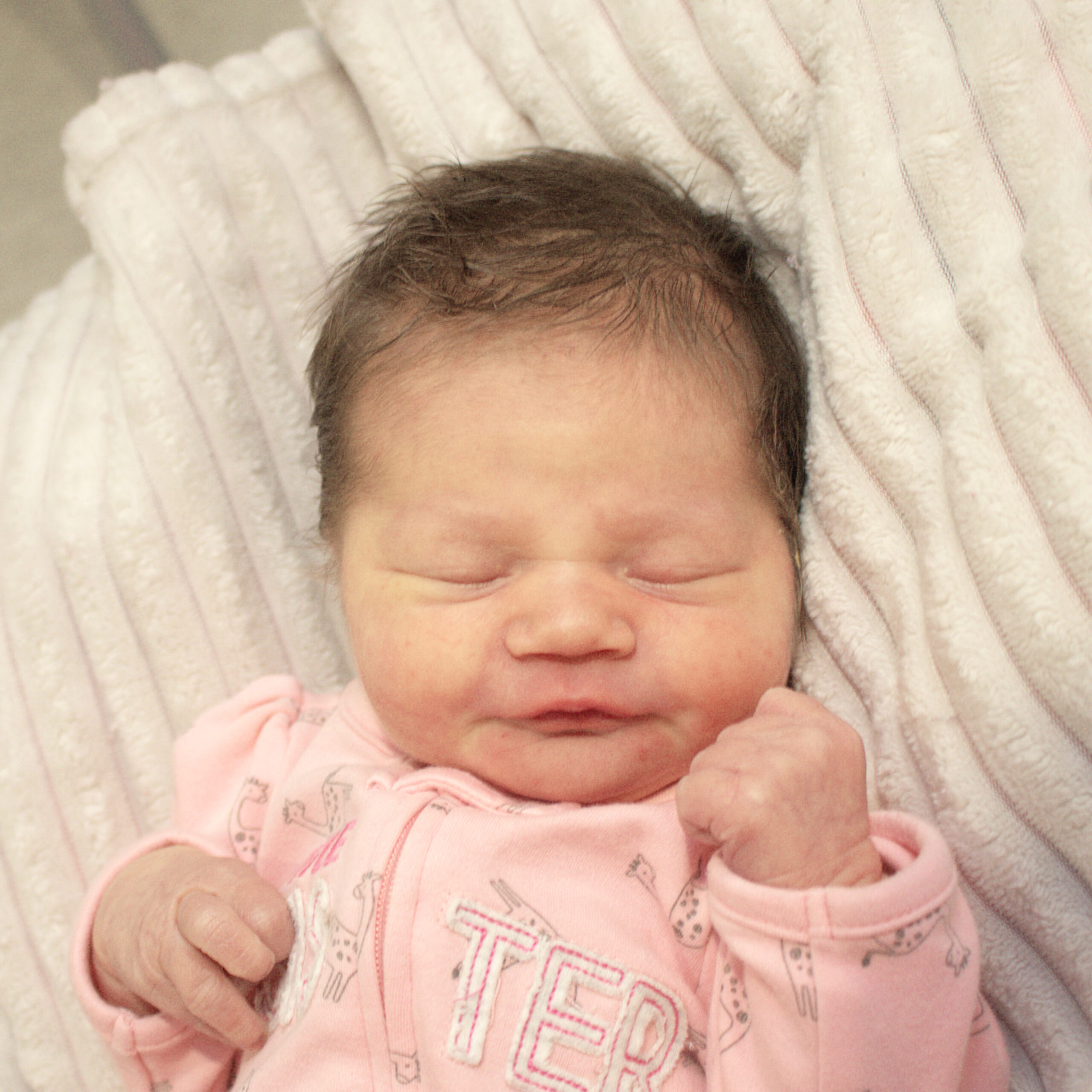 Aria Raine 061625