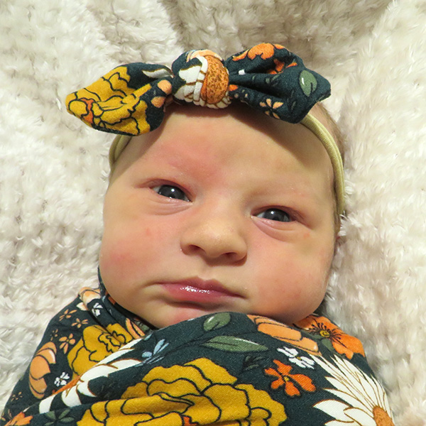 Evelyn Lee 060725 website