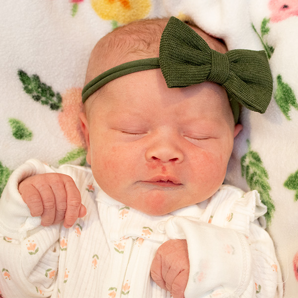 Lettie Donna 061025_website