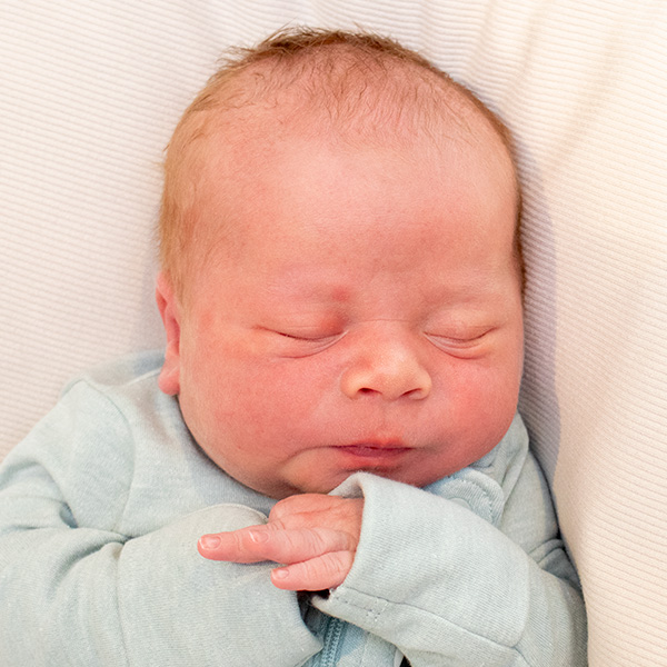 Milo Rae 081325_website