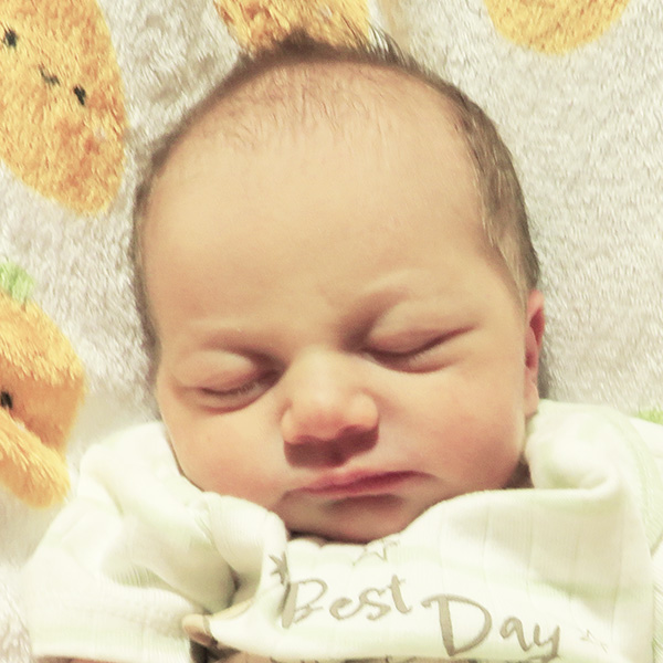 Briar LillyRose 083025_website