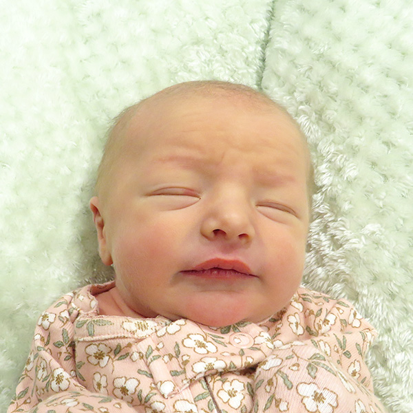 Elsie Jane 110825_website