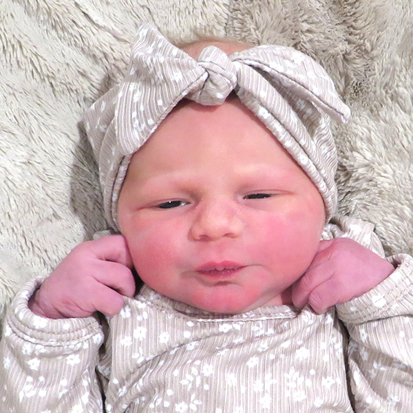 Averie Jenna 112925 website