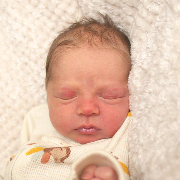 Elliott Henry 112625 website