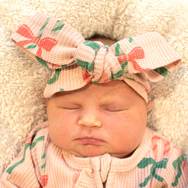 Haper Ann 122625 website