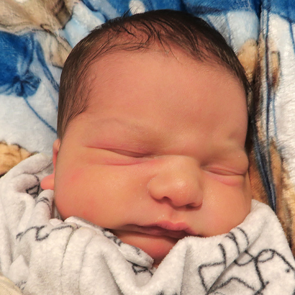 Ashton Stephen 012326 website