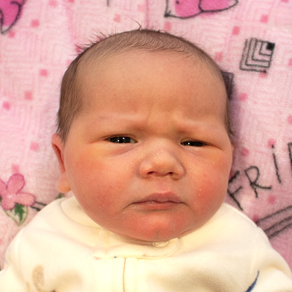 Jade Marie 011526 website