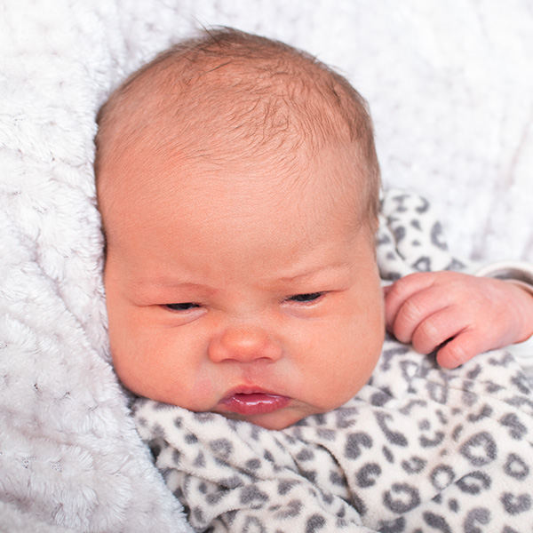 Kate Marie 123125_website