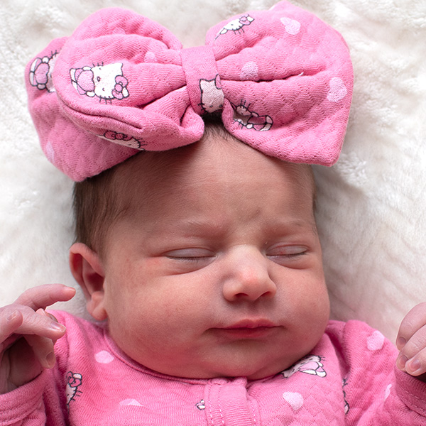 Maddison Rosaline 012626 website