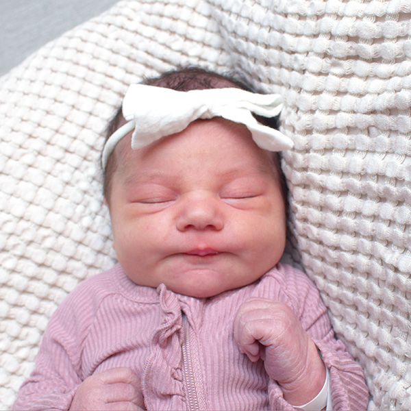 Scarlett Nicole 012526_website