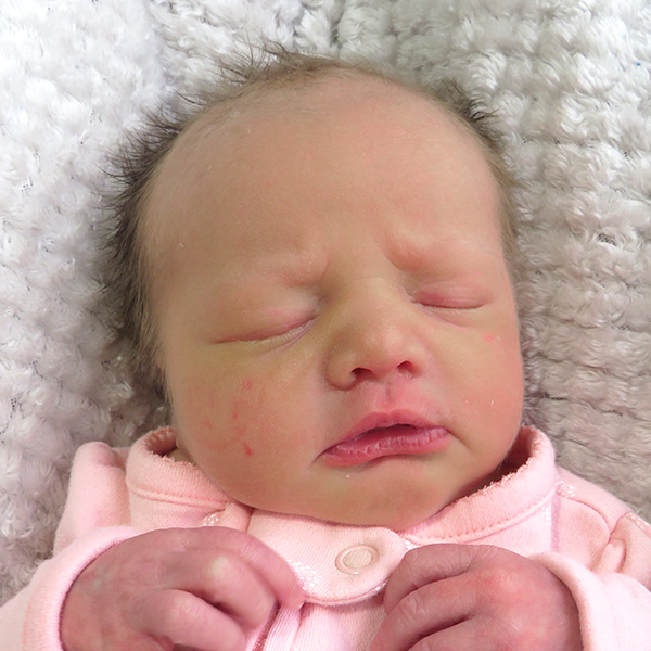 Sophie Marie 012226 website