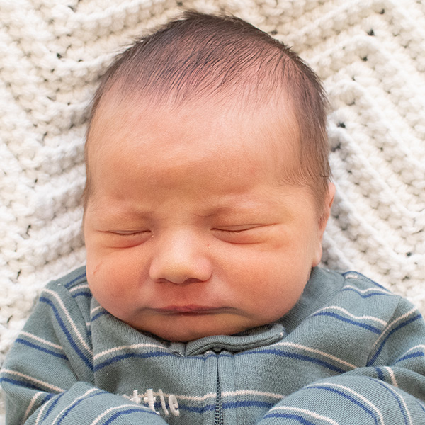 Wilder Jay 012826 website