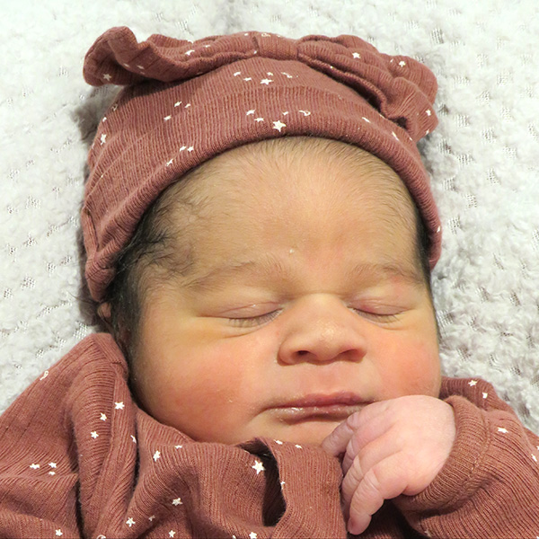 Adaline Marie 020726 website