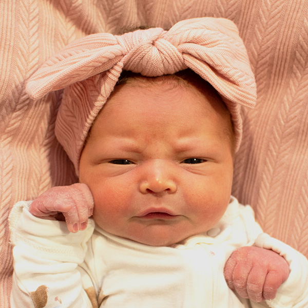 Lainie Lynn 020126 website