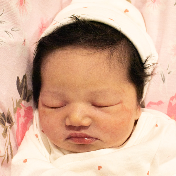 Lucy Charlotte 021126 website