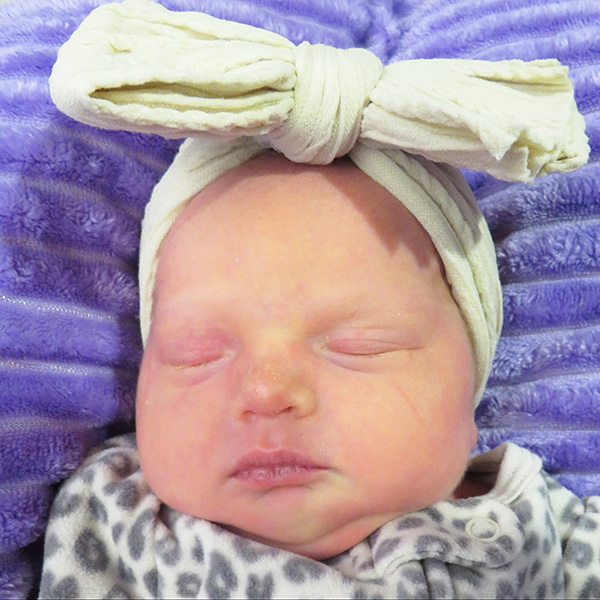 Maddie Rose 020726 website