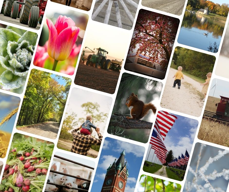 Regional Medical Center is Seeking New Photo Submissions for Featured Artwork Program