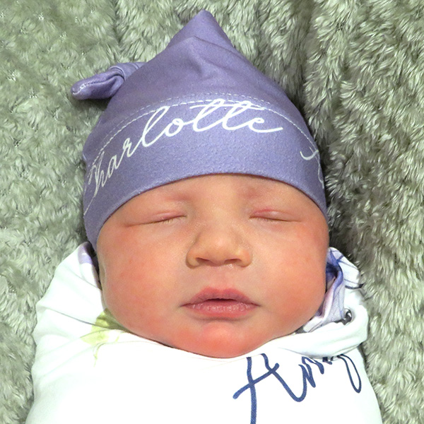 Charlotte Amy 032026 website