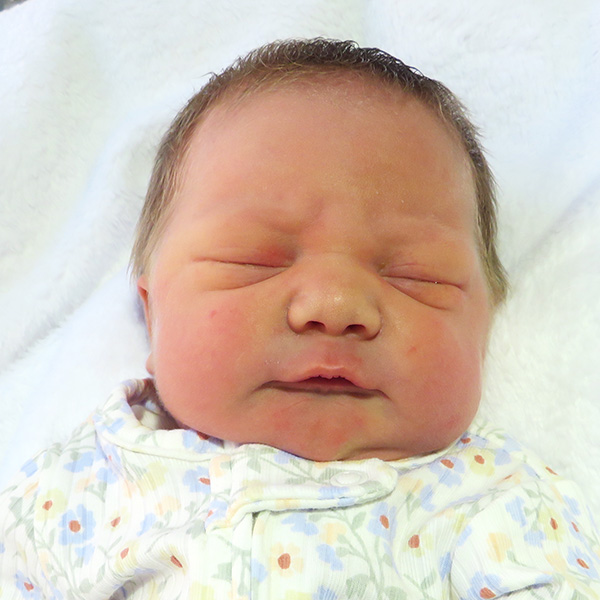 Elladee Grace 030626 website