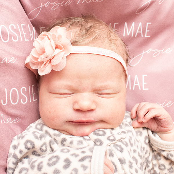 Josie Mae 031126_website