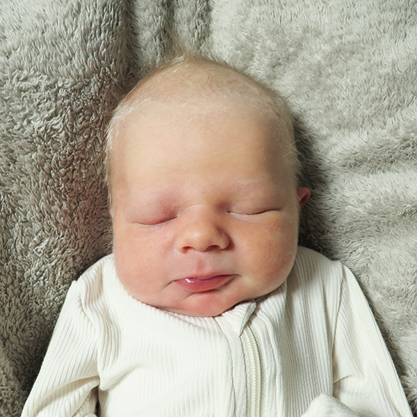 Knoxley Cole 031326_website