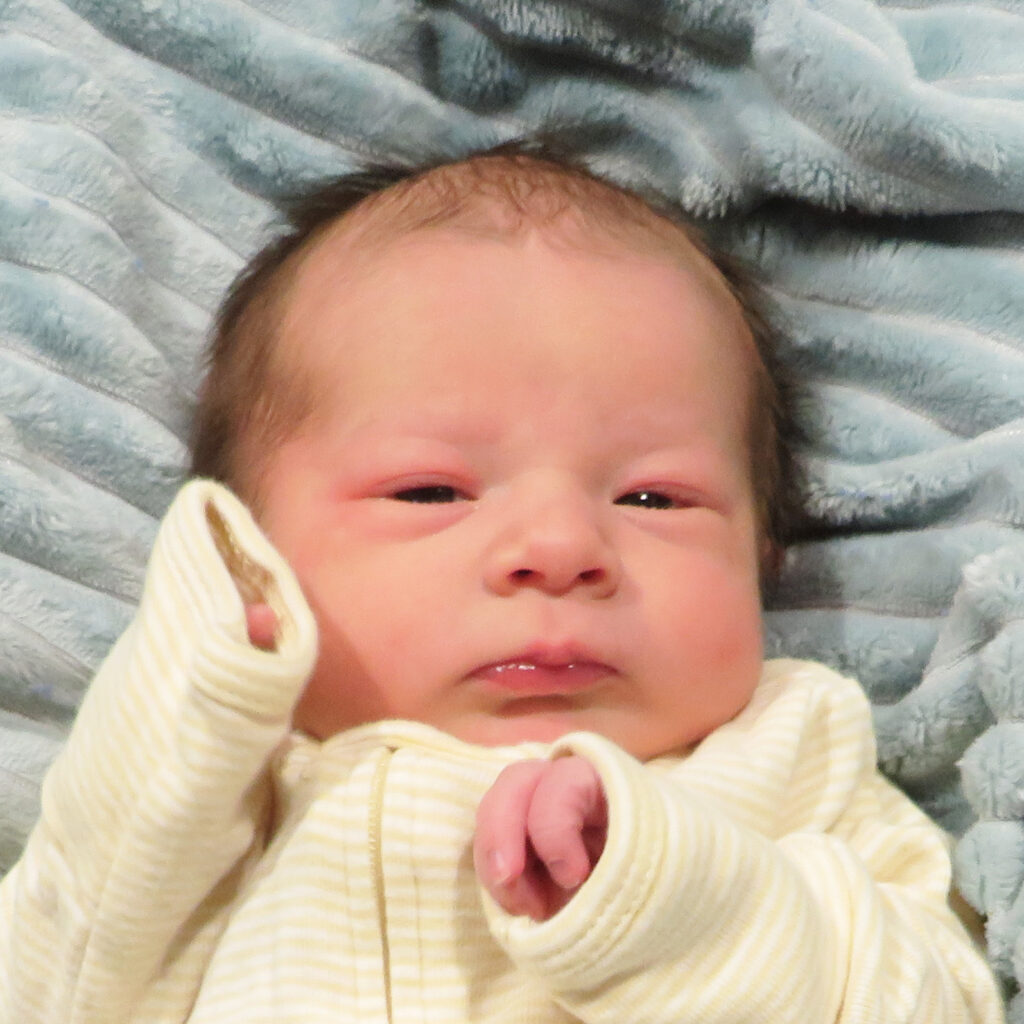 Leni Lynn 031326_website