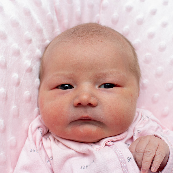 Margot Lillie 031626 website