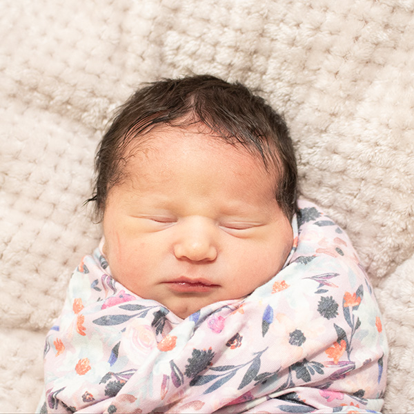 Felicity Octavia 040226_website