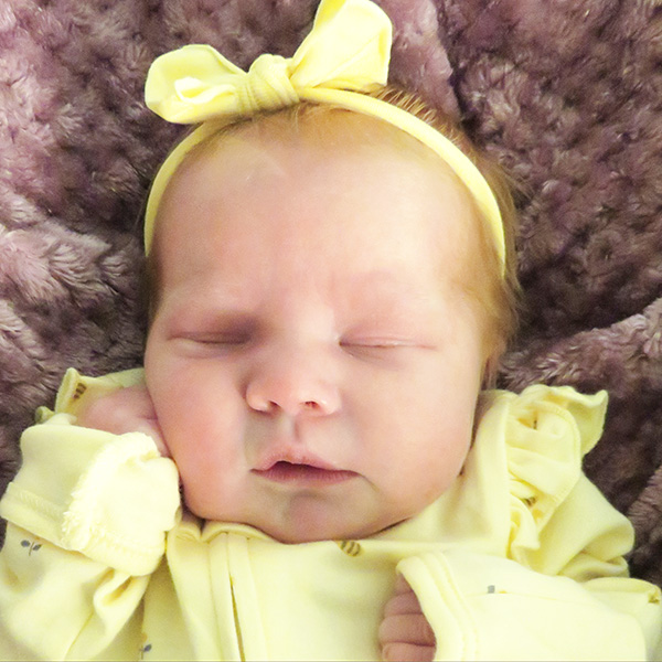 Windslie Irene 040226_website