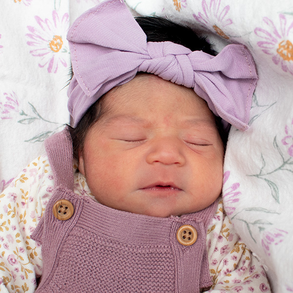 Alanna 051326_website