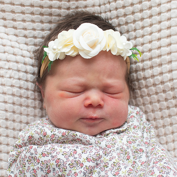 Aurora Clara 051426 website