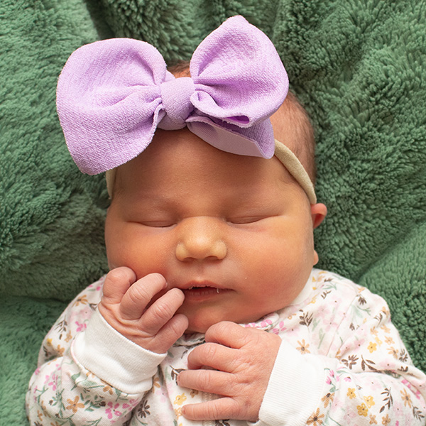 Clara Christine 050426 website