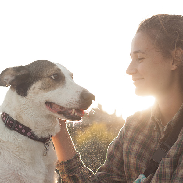 Increased Animal Bite Reports: What the Public Should Know about Rabies