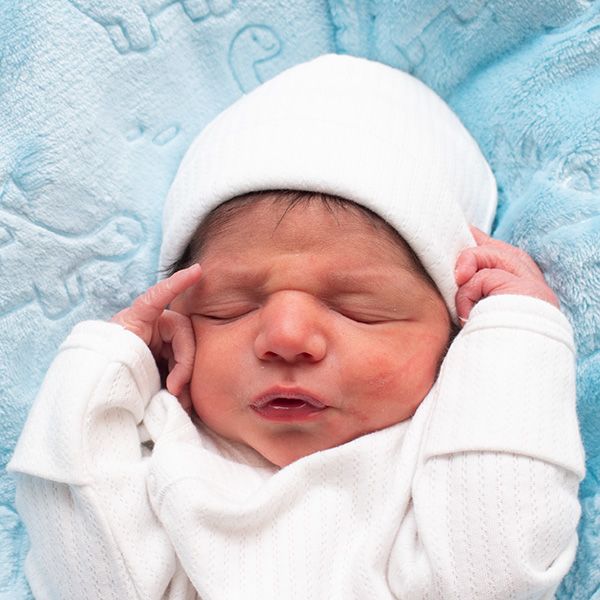 Eithan Yahel 051926 website