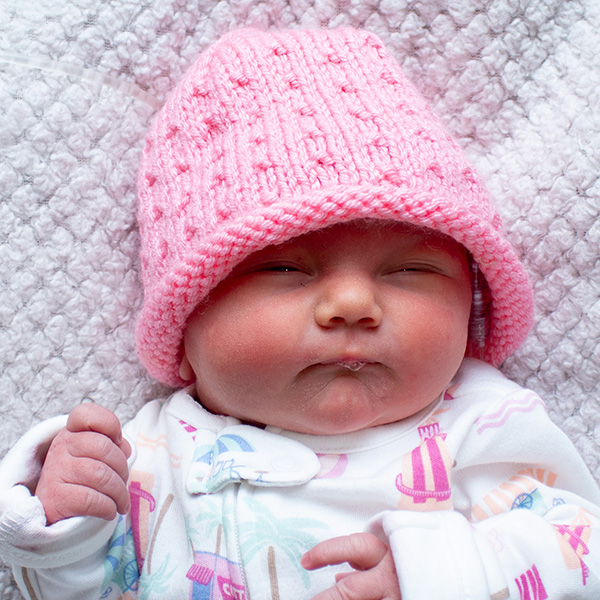 Arianna Lee 072126 website