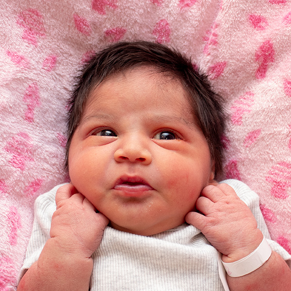 Evie Lynn 070726 website