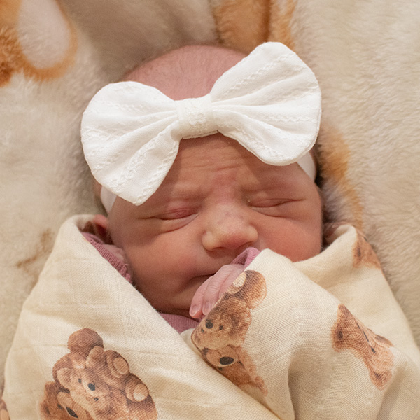Quinnlee Jean 072026 website