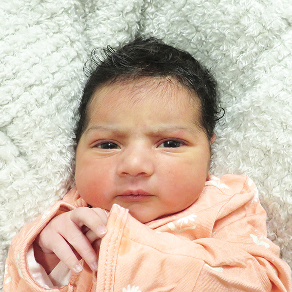 Vanya Kiranbhai 080726_website