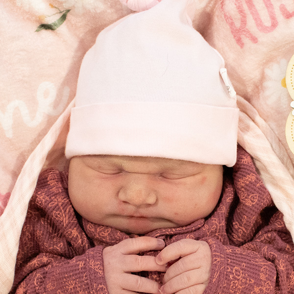 Caroline Rose 092826 website