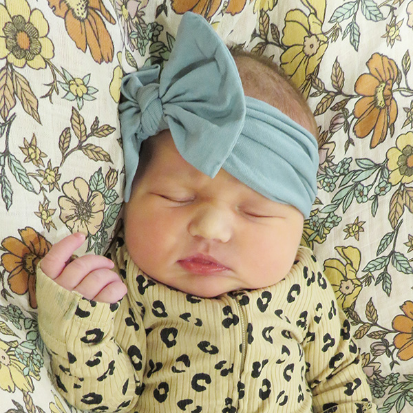 Carter Ann 090626 website