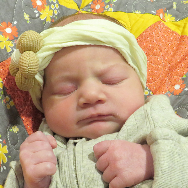 Elizabeth Jo 091426 website